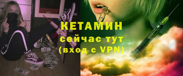 гашик Алексин