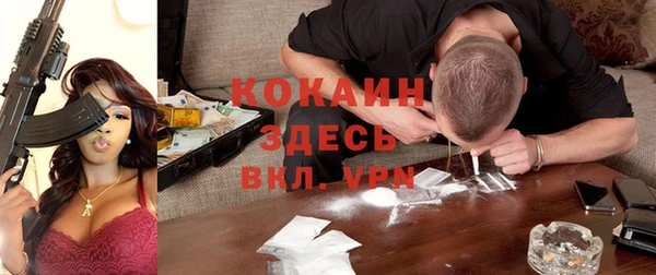 гашик Алексин