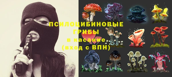 гашик Алексин